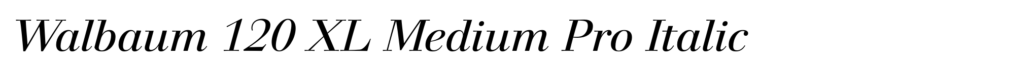 Walbaum 120 XL Medium Pro Italic image